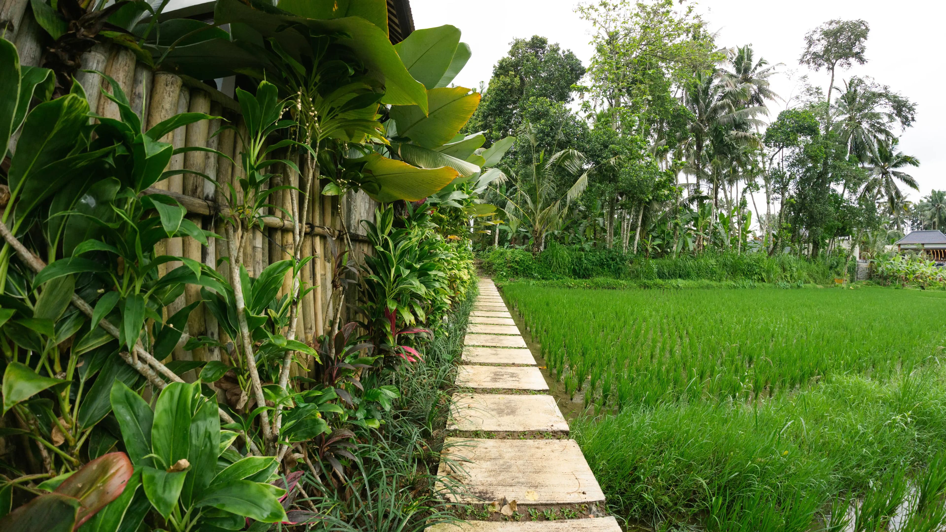 Wana Jiwa Gallery Foto 4