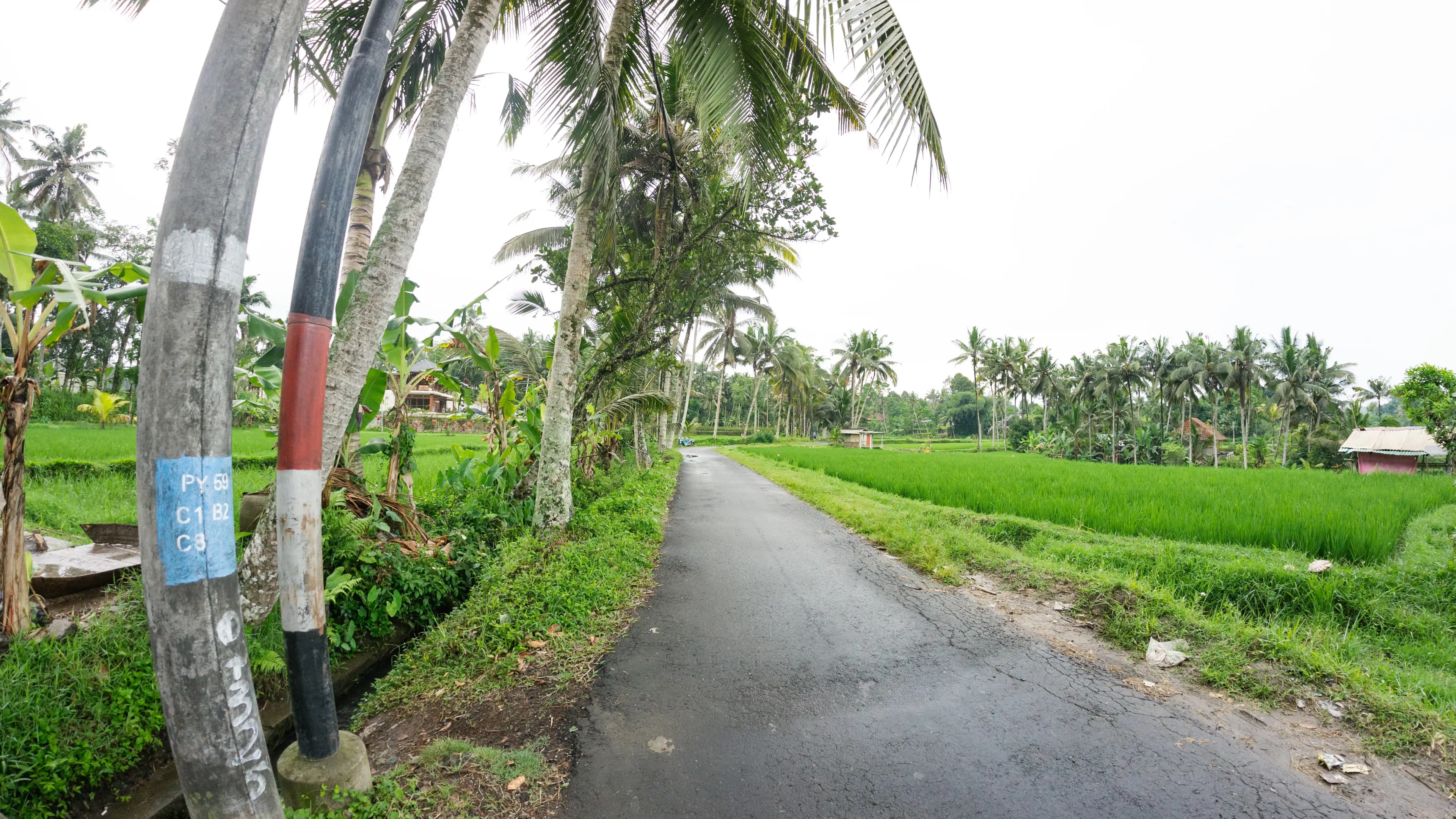 Balcony overlooking rice terraces