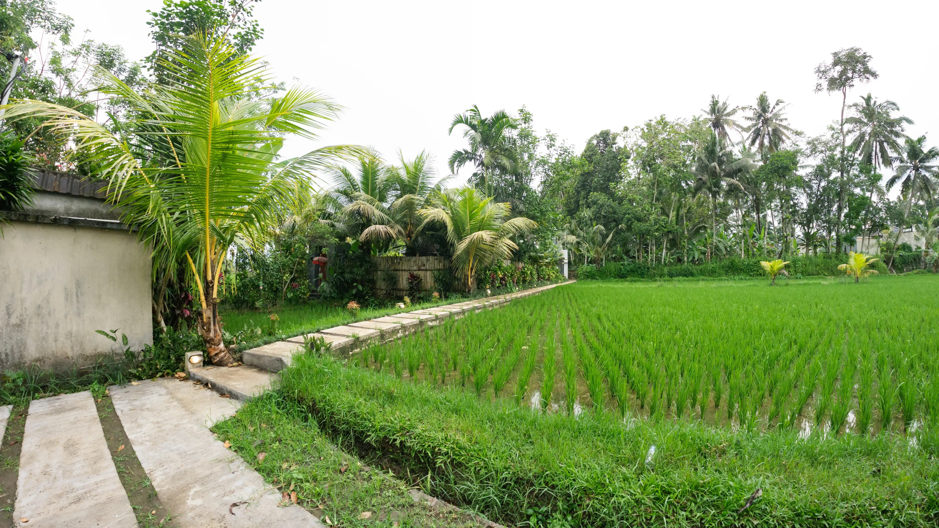 Outdoor terrace with seating