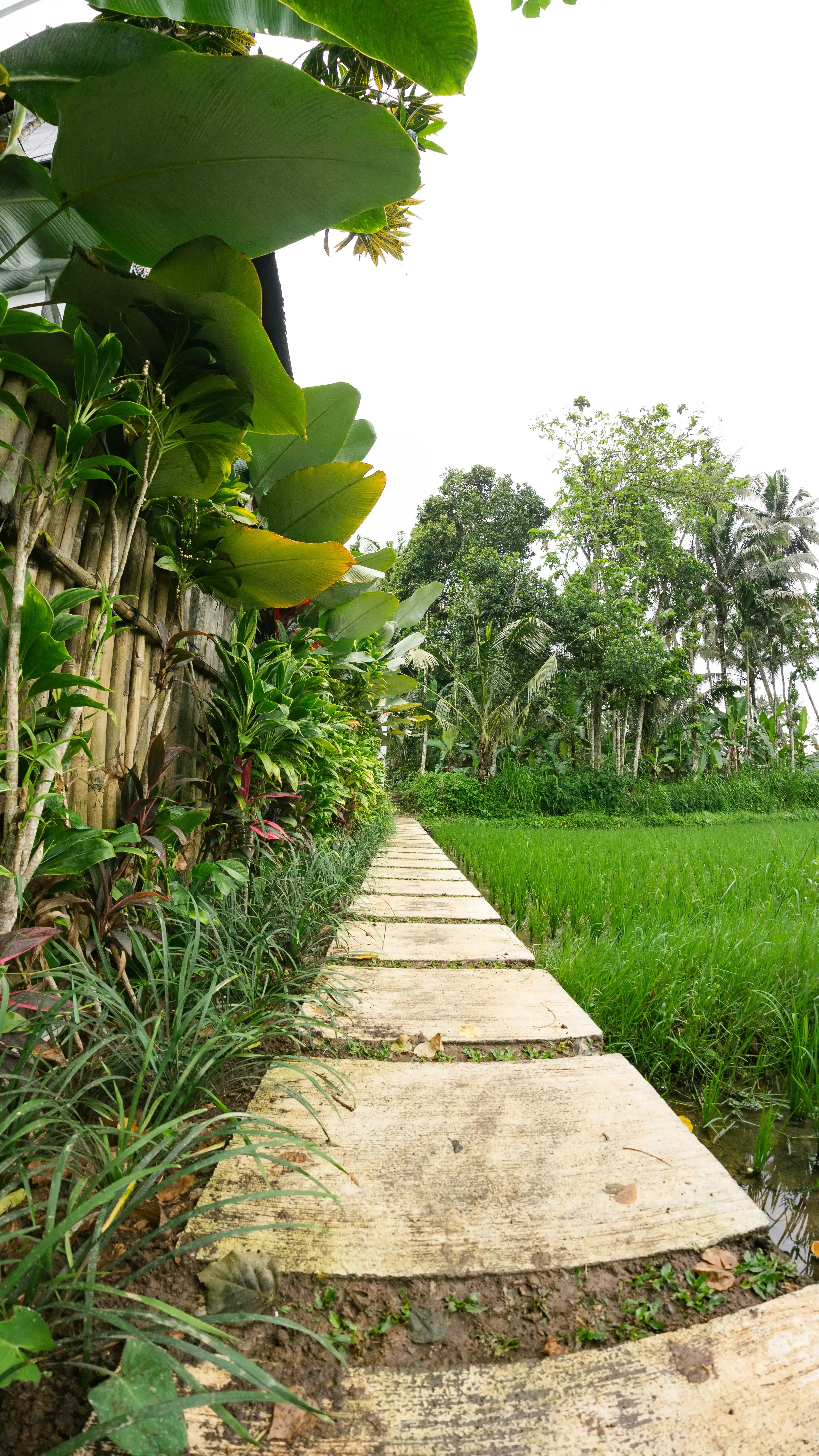 Evening view of villa exterior